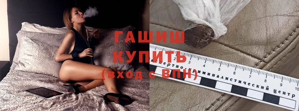дживик Бородино