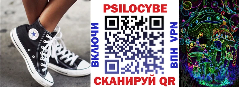 MEGA   Новохопёрск  Галлюциногенные грибы Psilocybe 
